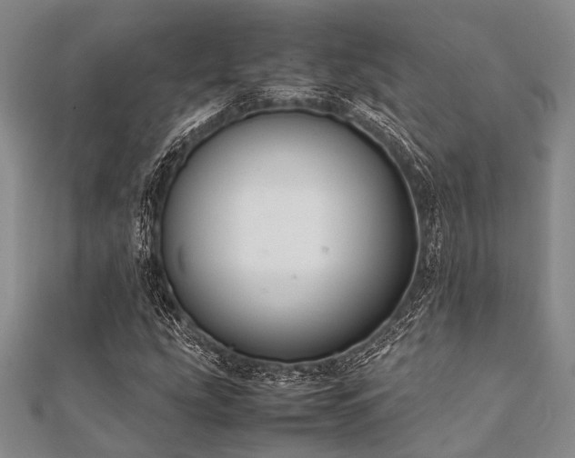 X0000112111207200908041534