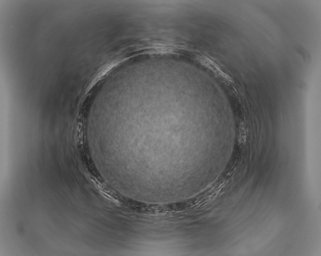 X0000112111208200908041534