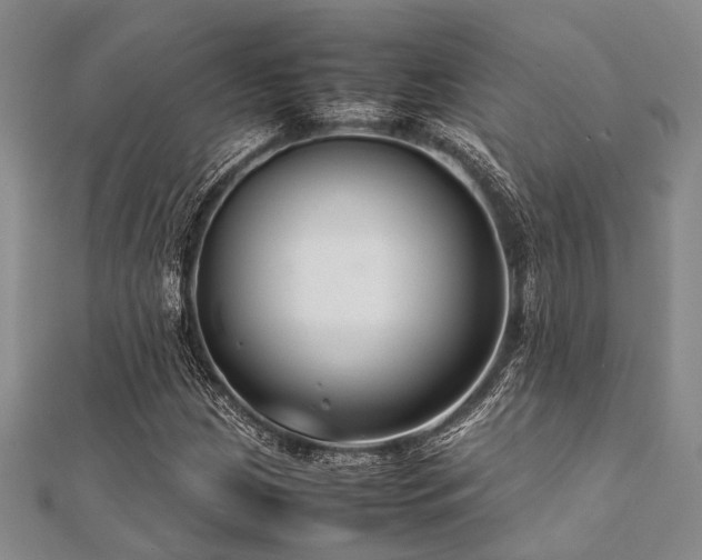 X0000112111209200908041534