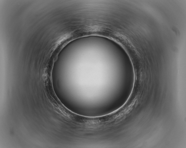 X0000112111210200908041534