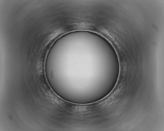 X0000112111211200908041534