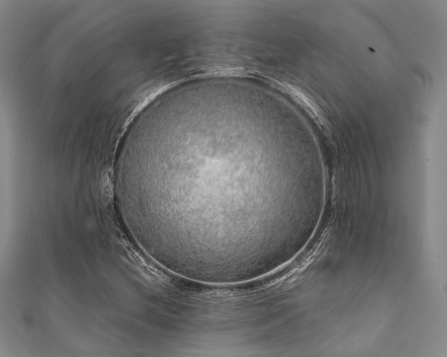 X0000112111212200908041534