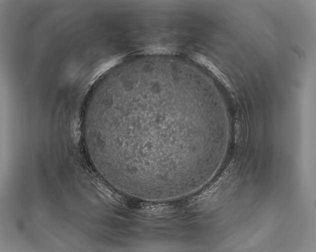 X0000112111213200908041534