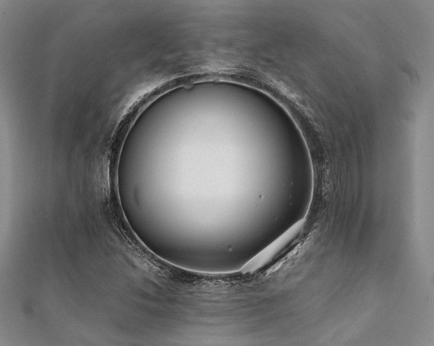 X0000112111214200908041534