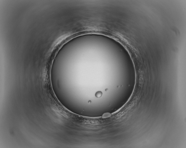 X0000112111215200908041534