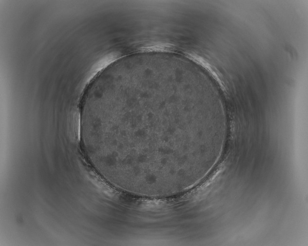 X0000112111219200908041534