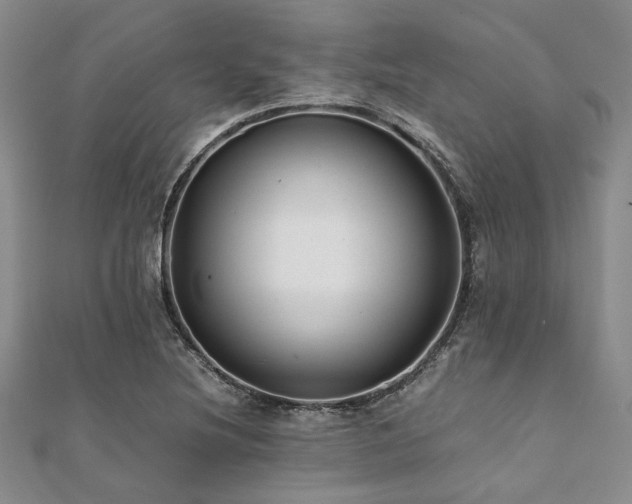 X0000112111220200908041534