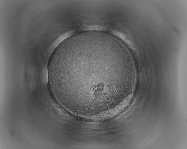 X0000112111221200908041534