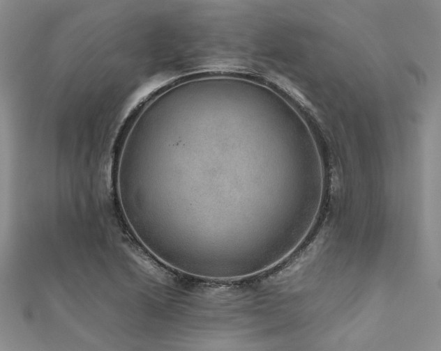 X0000112111222200908041534