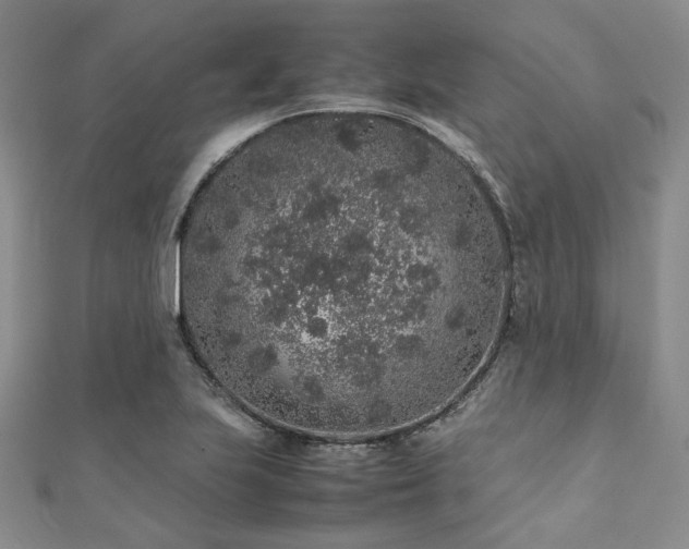 X0000112111223200908041534