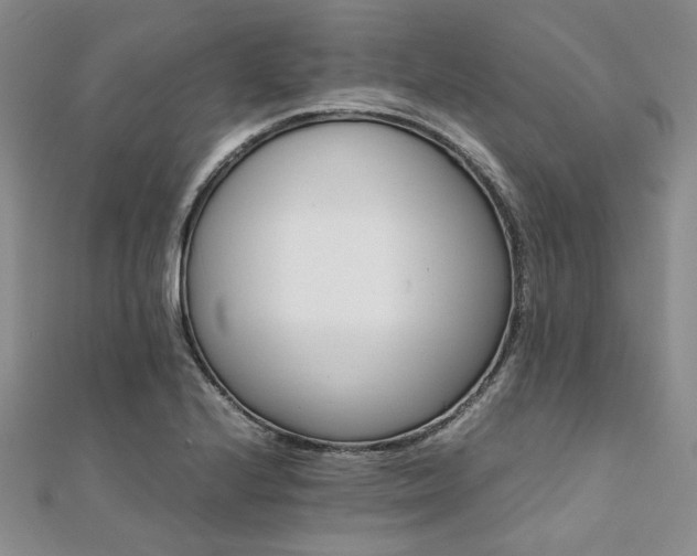 X0000112111224200908041534