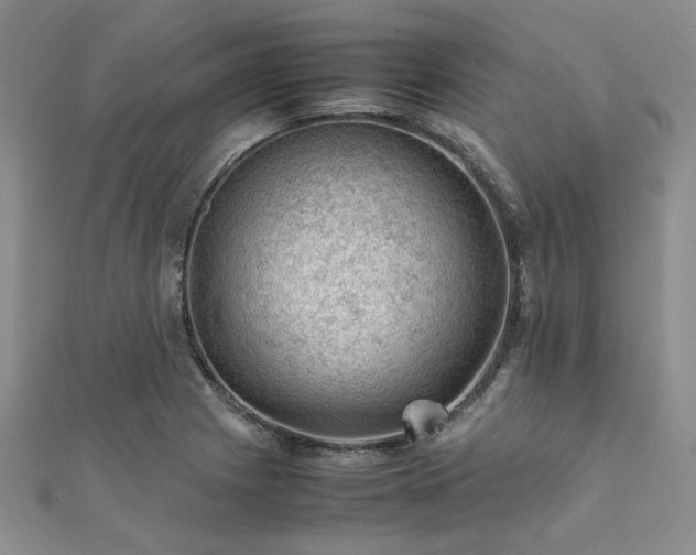 X0000112111225200908041534