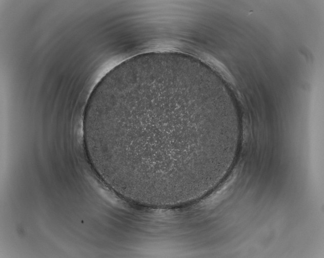 X0000112111226200908041534