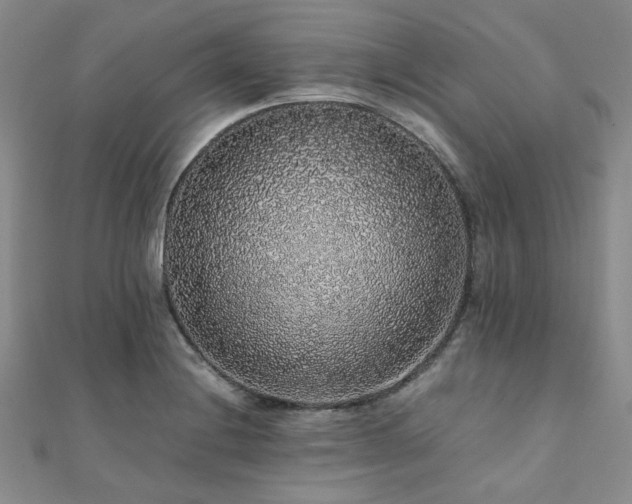 X0000112111228200908041534