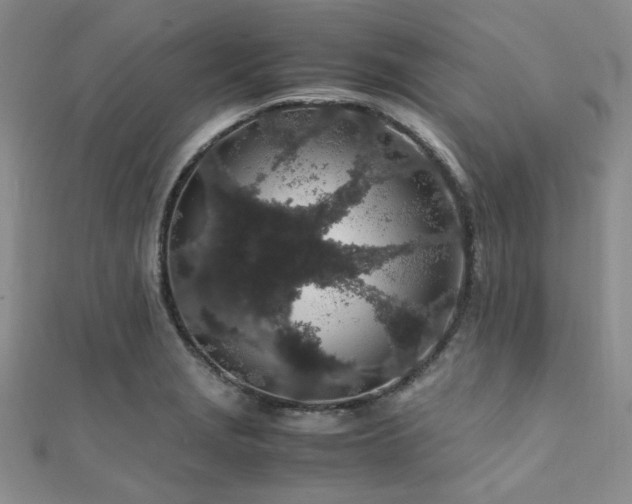 X0000112111229200908041534