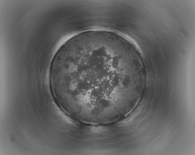 X0000112111231200908041534