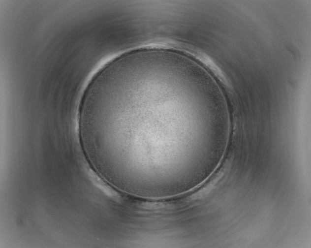 X0000112111232200908041534