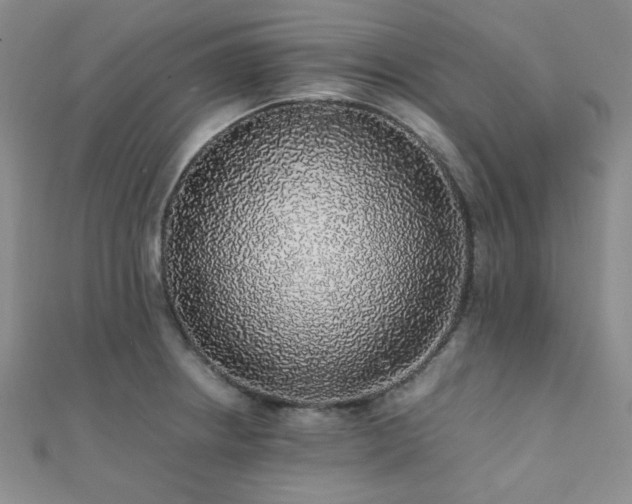 X0000112111234200908041534