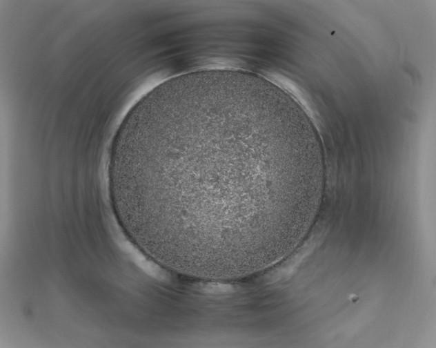 X0000112111235200908041534