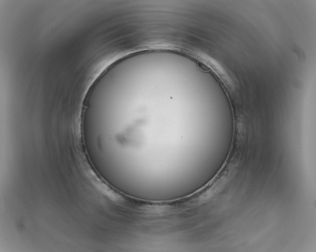 X0000112111236200908041534