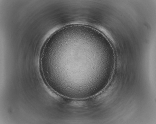 X0000112111237200908041534