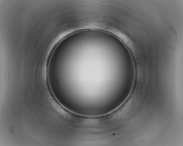 X0000112111238200908041534