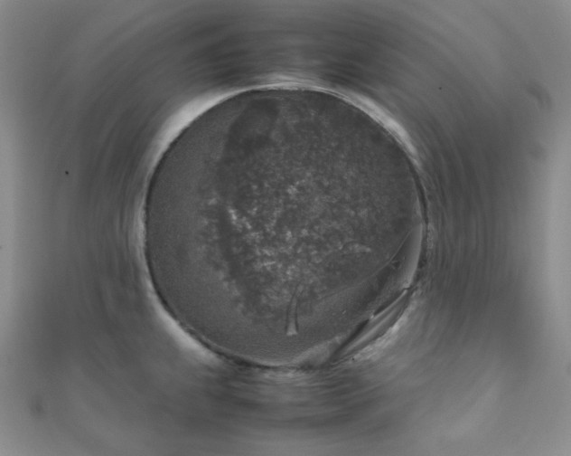 X0000112111239200908041534