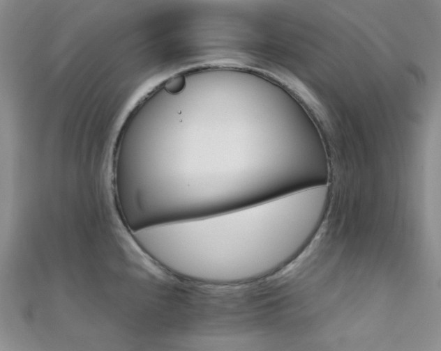 X0000112111240200908041534