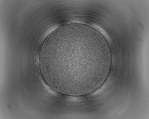 X0000112111241200908041534