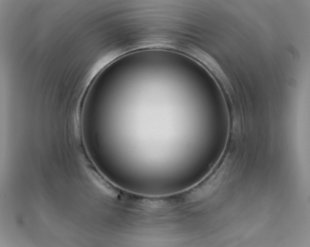 X0000112111242200908041534