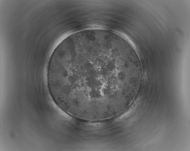 X0000112111243200908041534