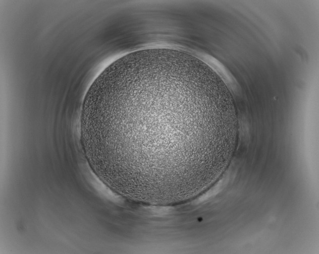 X0000112111244200908041534