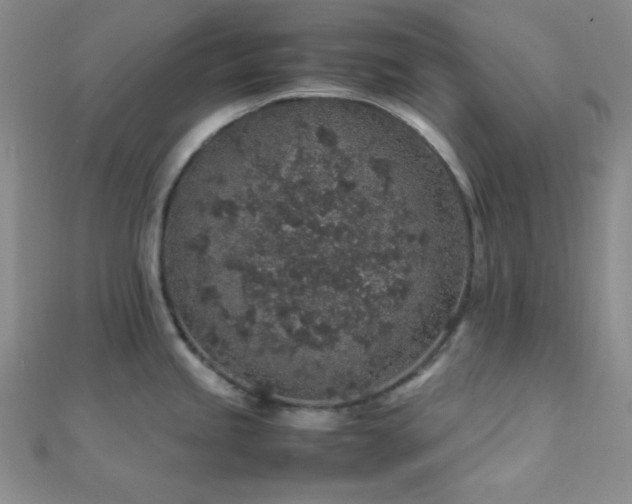 X0000112111245200908041534