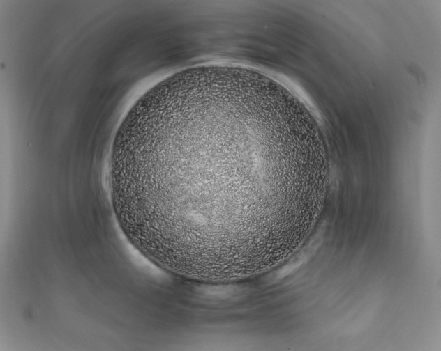 X0000112111247200908041535