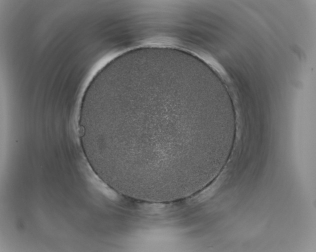 X0000112111248200908041535