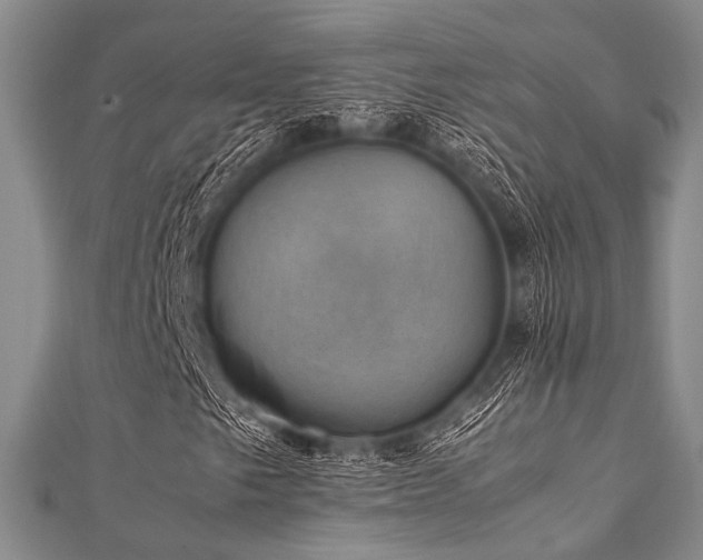 X0000112111249200908041534