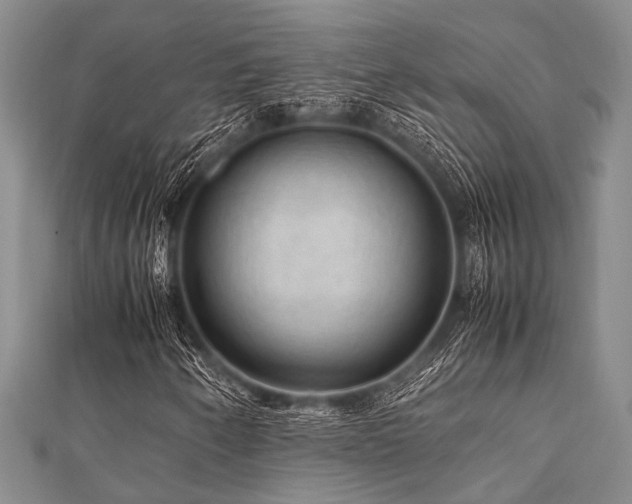 X0000112111250200908041534