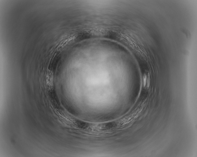 X0000112111251200908041534