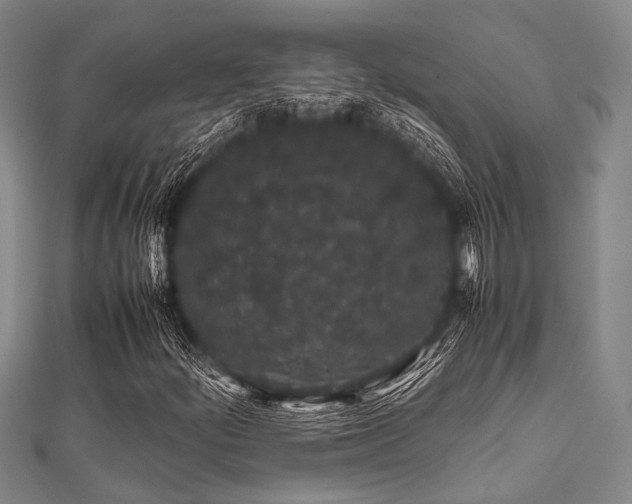 X0000112111252200908041534