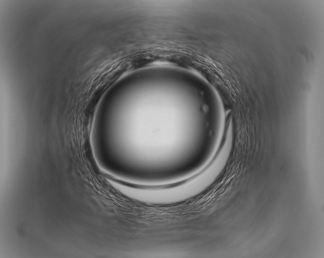 X0000112111253200908041534