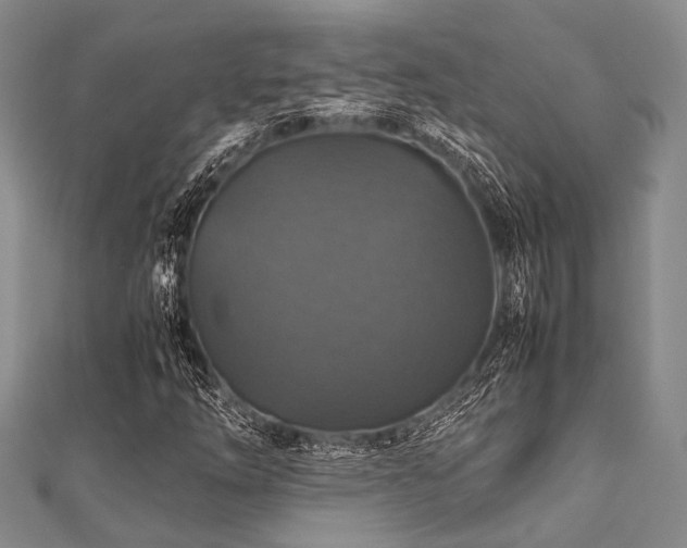 X0000112111254200908041534