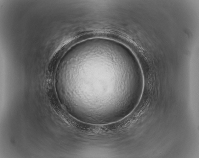 X0000112111255200908041534