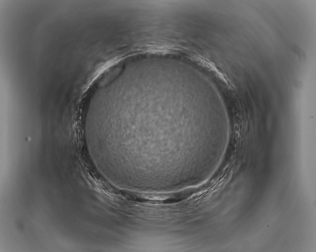 X0000112111256200908041534