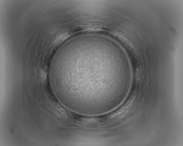 X0000112111257200908041534