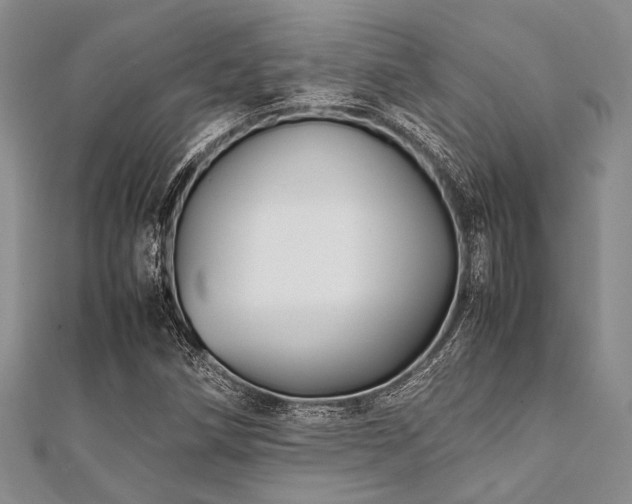 X0000112111258200908041534