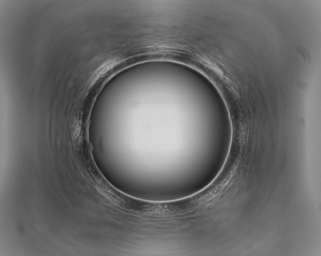 X0000112111259200908041534