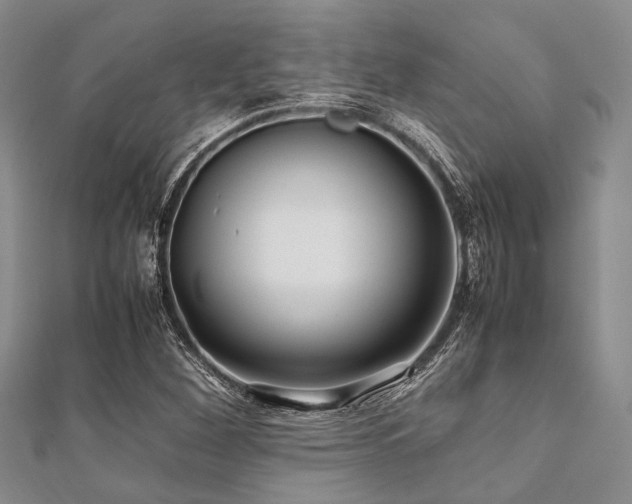 X0000112111260200908041534