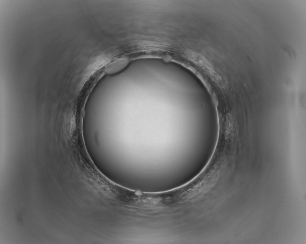 X0000112111261200908041534