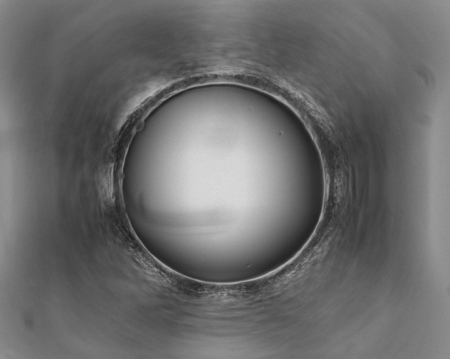 X0000112111262200908041534