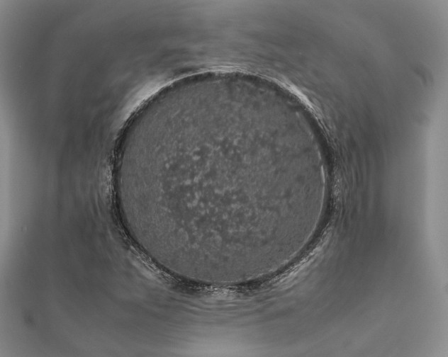 X0000112111263200908041534